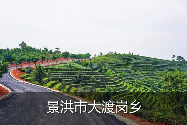 景洪市大渡岗乡