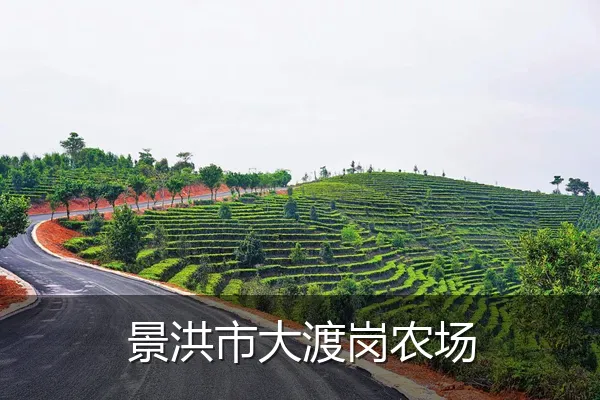 景洪市大渡岗农场